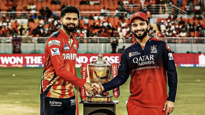 IPL 2025 Season Overview